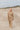 ONE SIZE | 163cm